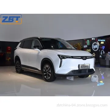 Green New Energy Vehicle Wm W6 Luxury Smart Private Electric Motor Car 4X2 2WD EV SUV with LED Automatic Steering Headlight